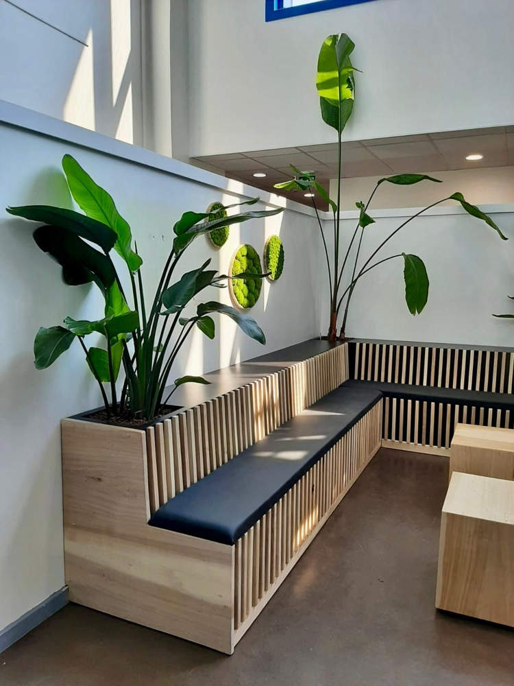 Transformez Vos Espaces de Travail avec la Location de Plantes sur Mesure