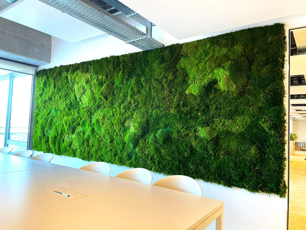 Mur en mousse stabilisé pour vos bureaux
