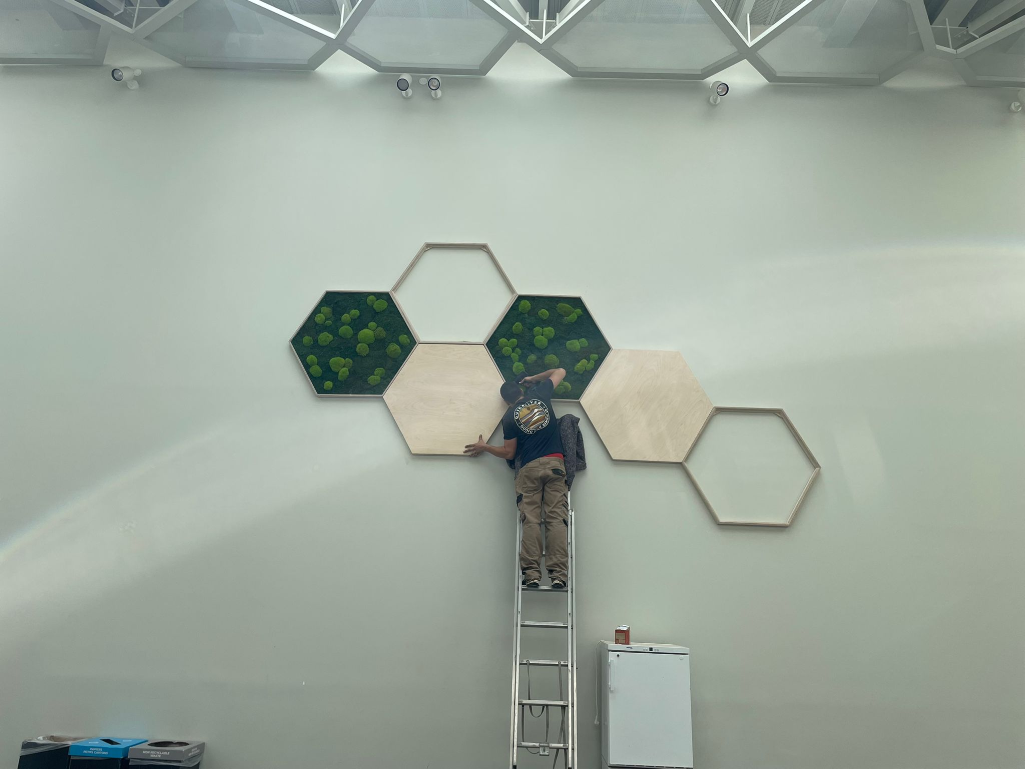 Panneaux hexagonaux en mousse végétale dans un bureau