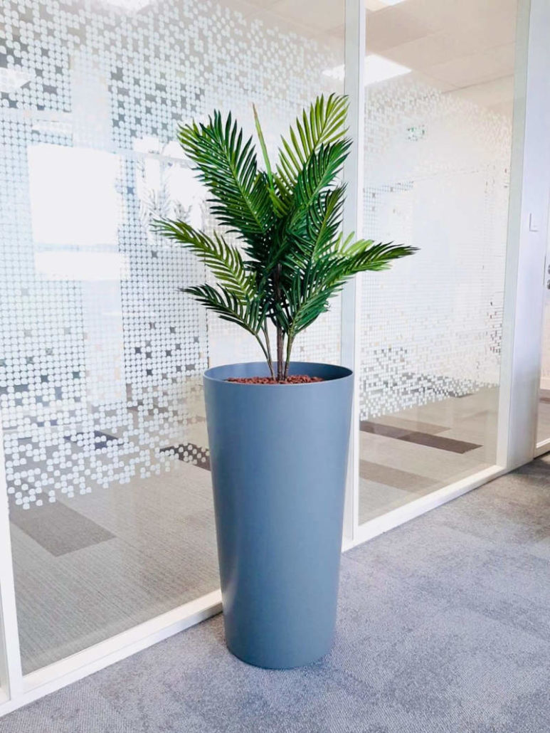 Transformez vos Bureaux avec nos Installations de Plantes et Pots sur-Mesure