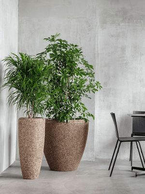 Tendance 2024 : Décorez votre intérieur avec Meaningful Earth et des plantes
