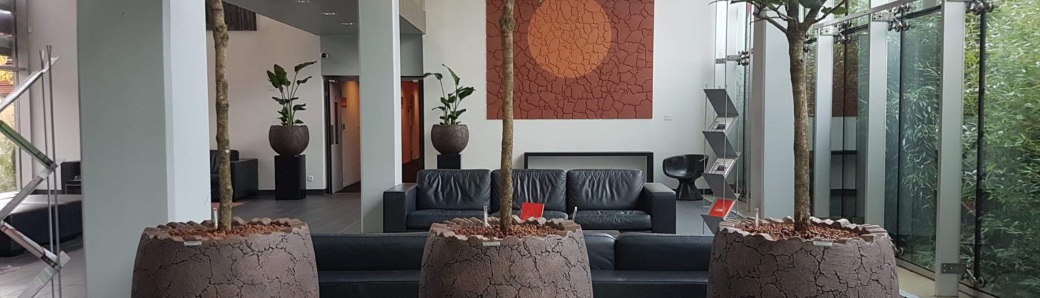 pot avec plante pour Location de plantes avec pot déco