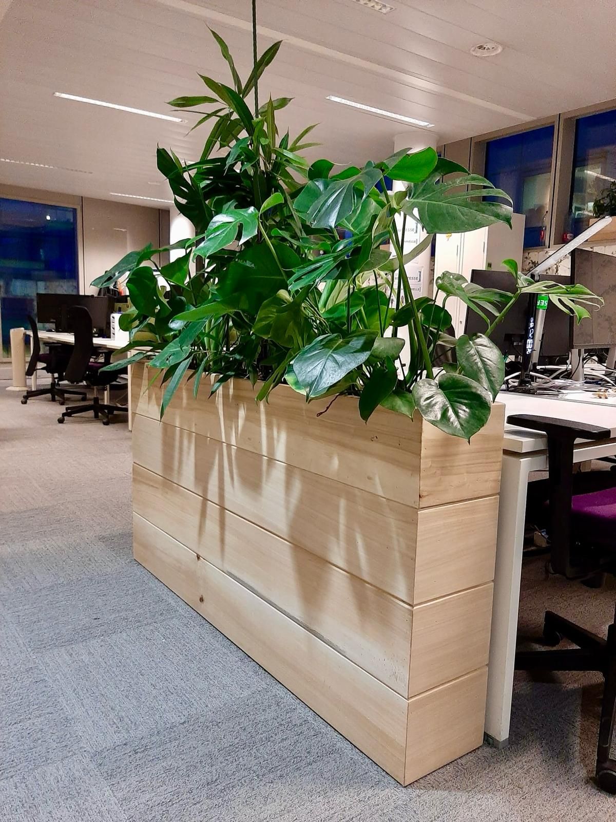 Pots en Bois Massif et Location de Plantes