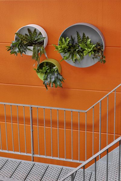 pot-mural-nature-vegetale Pot mural a fixer sur les murs de votre entreprise