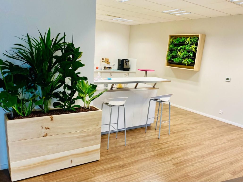 Une Végétalisation Innovante pour le Bien-être de vos Collaborateurs et de vos Espaces de Travail