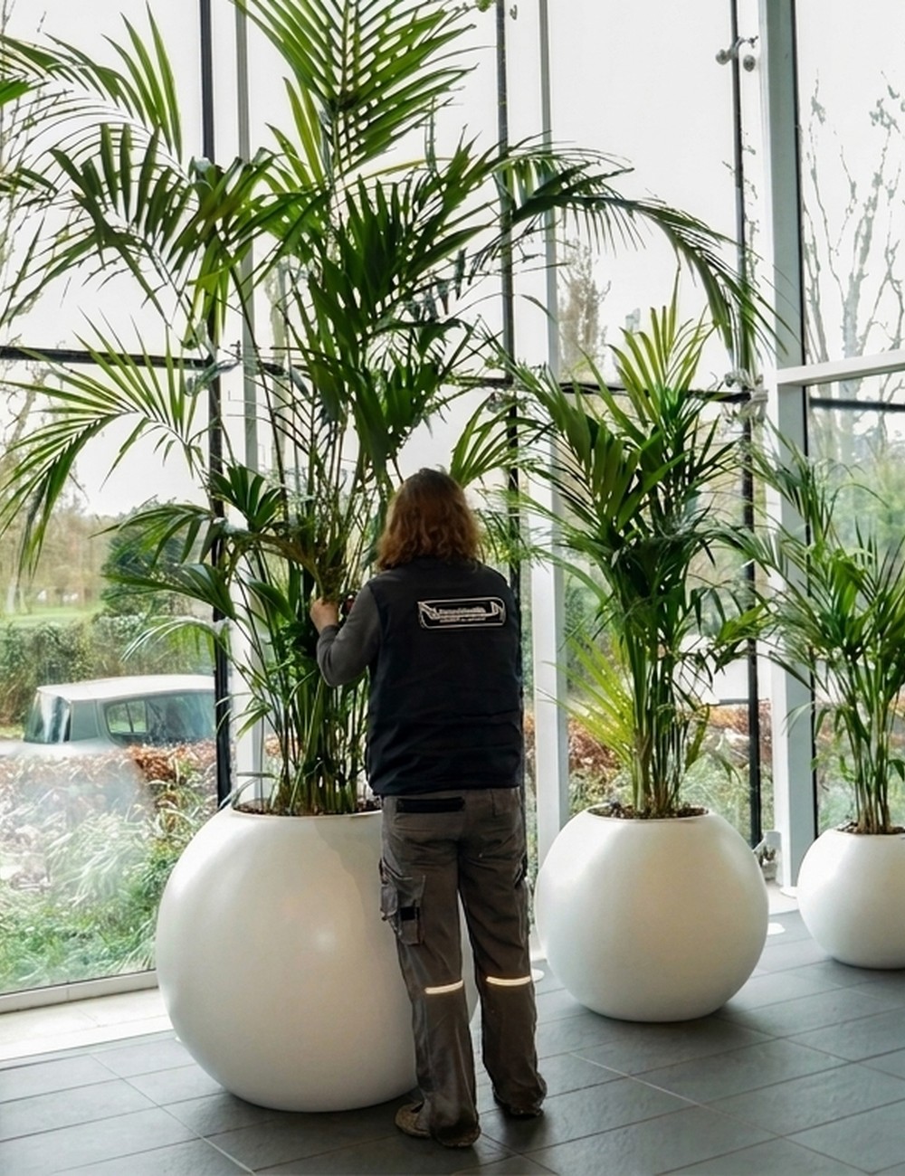 Palmiers en bacs dans un hall de bureau