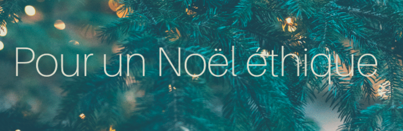 sapin-noel-ethique Louer votre sapin de noel lille, marseille, paris