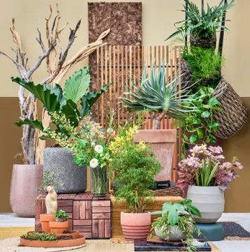 Tendance 2024 : Décorez votre intérieur avec Meaningful Earth et des plantes