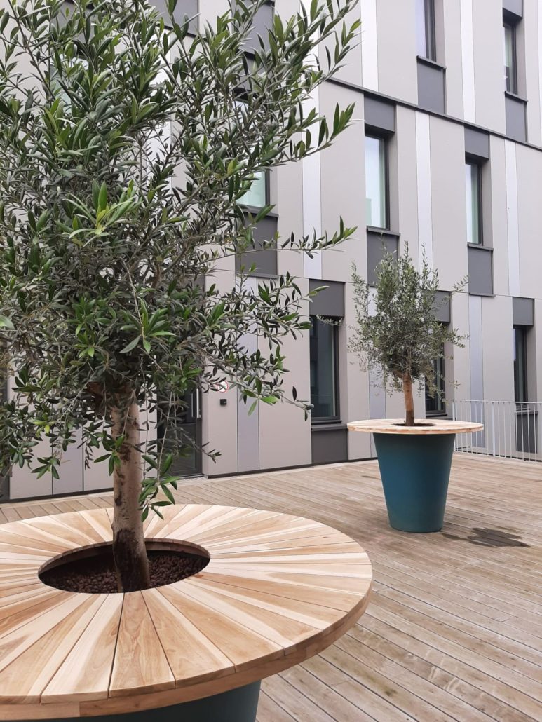 Terrasse végétale et rooftops