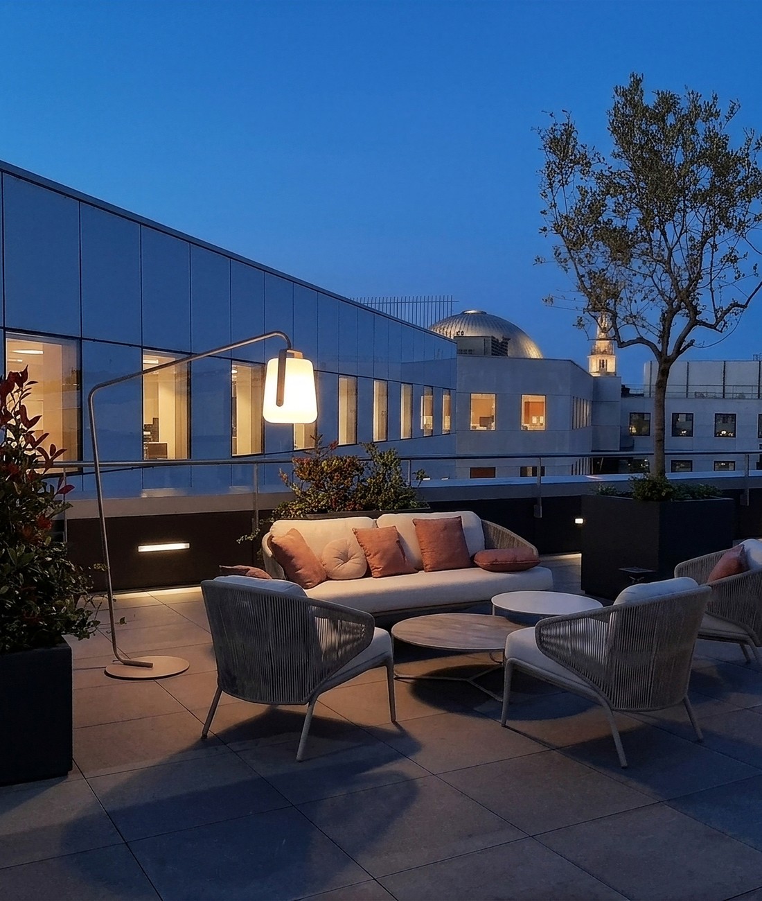 Terrasse végétalisée