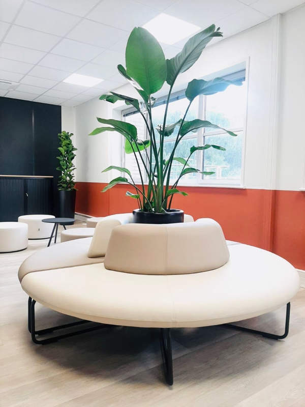 Végétalisez vos bureaux pour la location de plantes