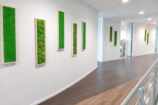 Cadre mousse végétale pour vos couloirs