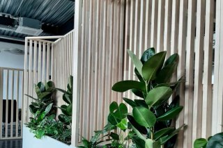 claustras sur-mesure location plantes