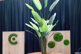 Créez une Ambiance Unique avec des Plantes et Mange-Debouts Végétaux pour vos Événements