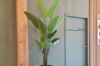 Entrée de votre établissement avec pot bambou tressé et plante
