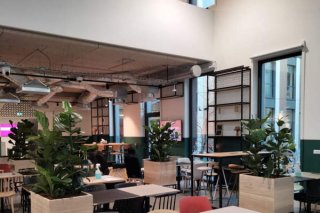 Plantes et Pots dans vos espaces communs Lille