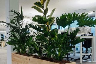 Jardinières fabriquées sur mesure made in france