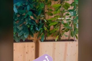 jardinieres recyclées