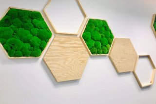 Le pouvoir des plantes naturelles