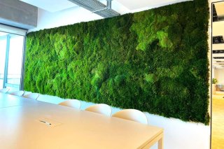 Mur en mousse stabilisé pour vos bureaux