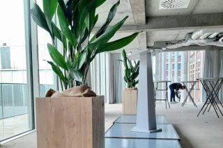 pot et plante sur mesure