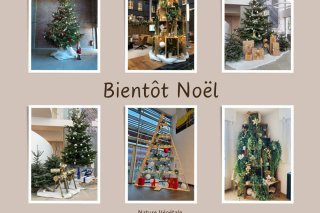 Sapin de Noel achat vente ou location