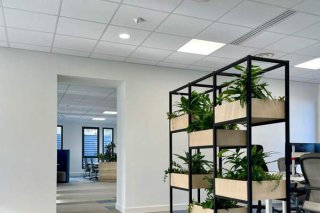 Parois végétales en bois et métal : un aménagement sur-mesure pour des bureaux plus vivants