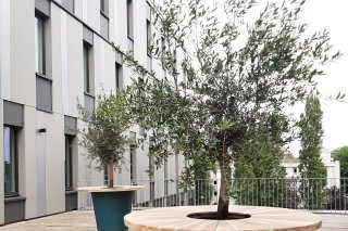 Tables exterieures vegetales