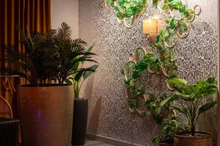 Végétalisez vos lieux cabaret - Location de plante