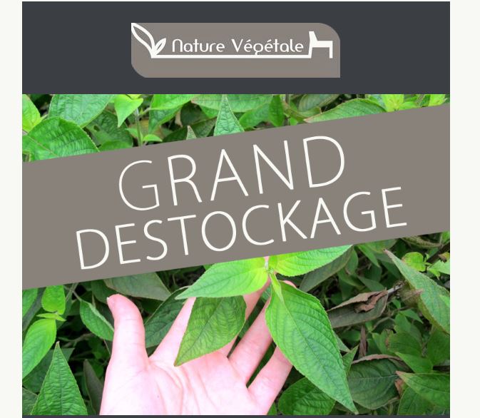 Grand déstockage pots et plantes