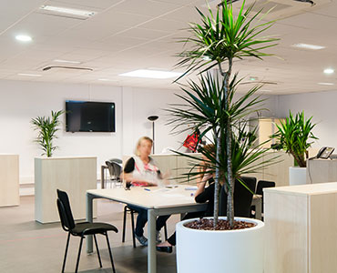 Bureaux - Voix du Nord