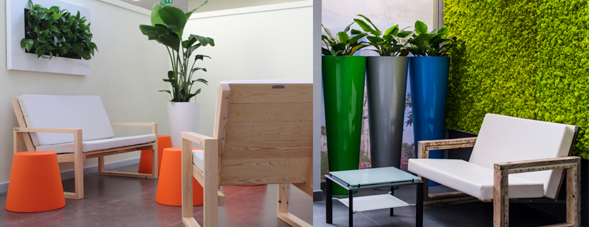 Louer vos plantes pour vos espaces de travail