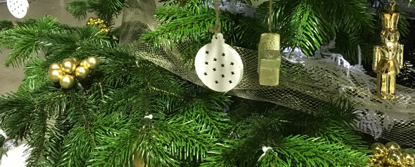 Location de sapin Nordmann pour vos bureaux