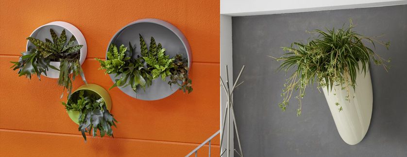Nouveauté : Pots murals par Nature Végétale