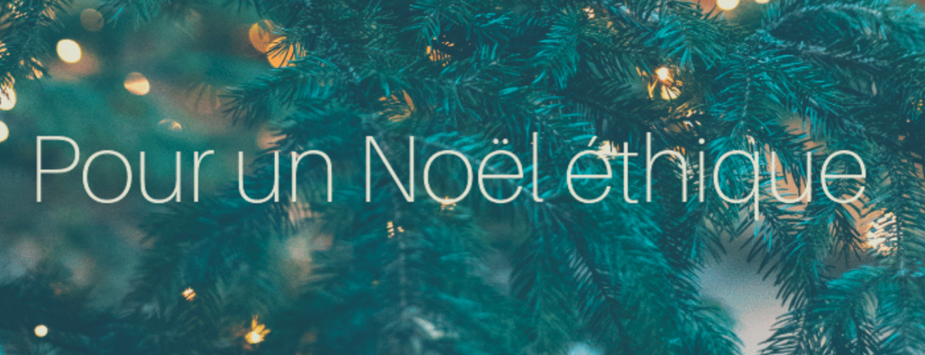 Louer votre sapin de noël décoré pour votre entreprise Location Sapin de Noël