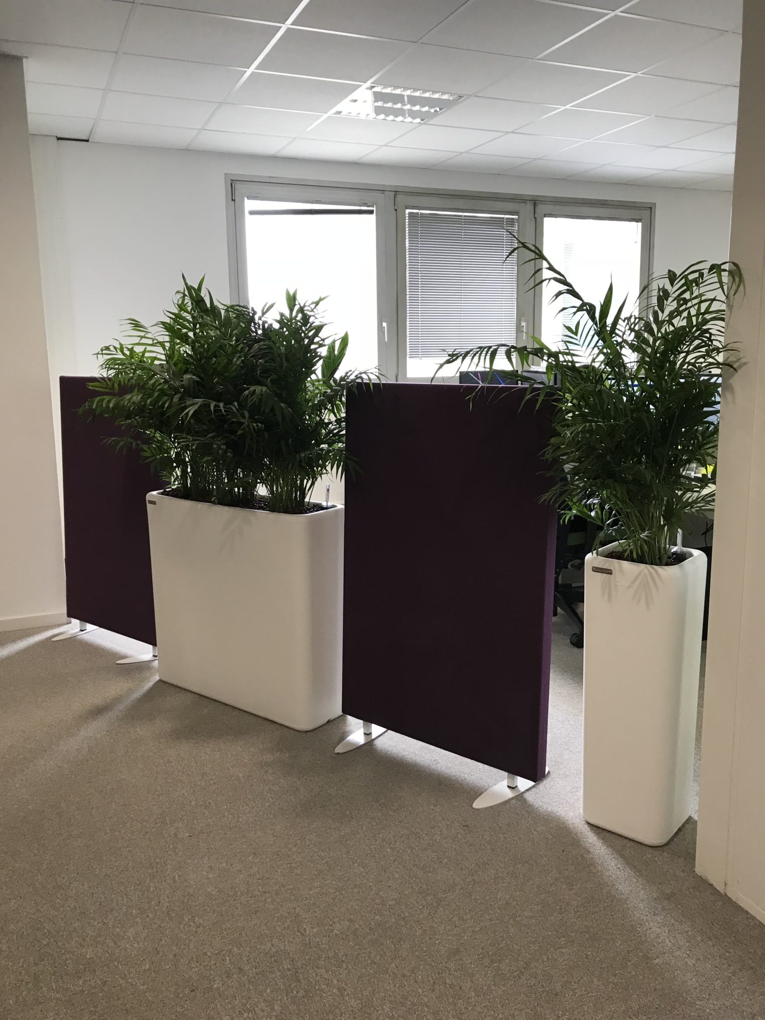 Location de plantes et pots sur-mesure