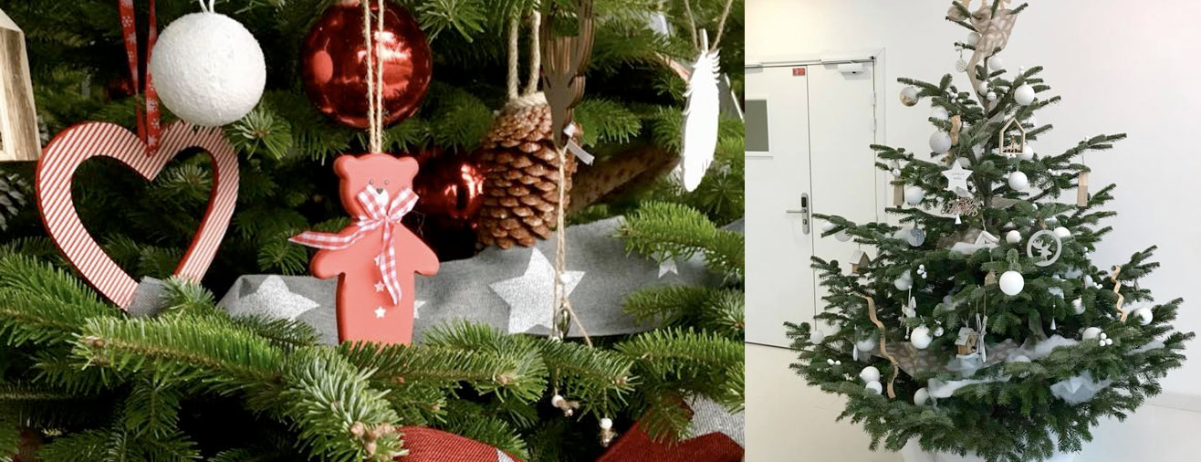 Pour les fêtes, pensez à louer votre sapin de noël décoré pour votre entreprise.