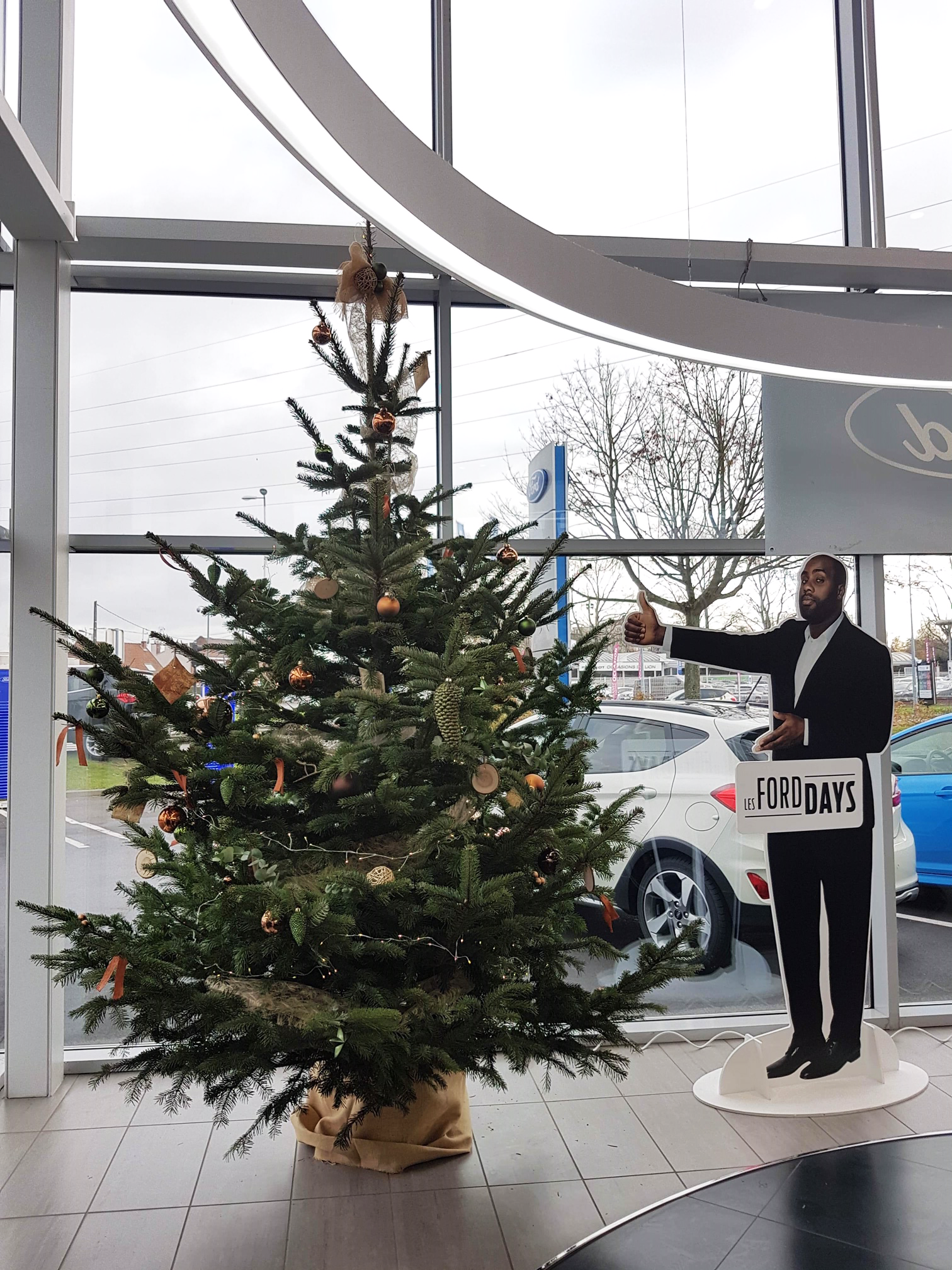 Vente sapin de noel décoré - Installation et reprise dans votre établissement professionnel