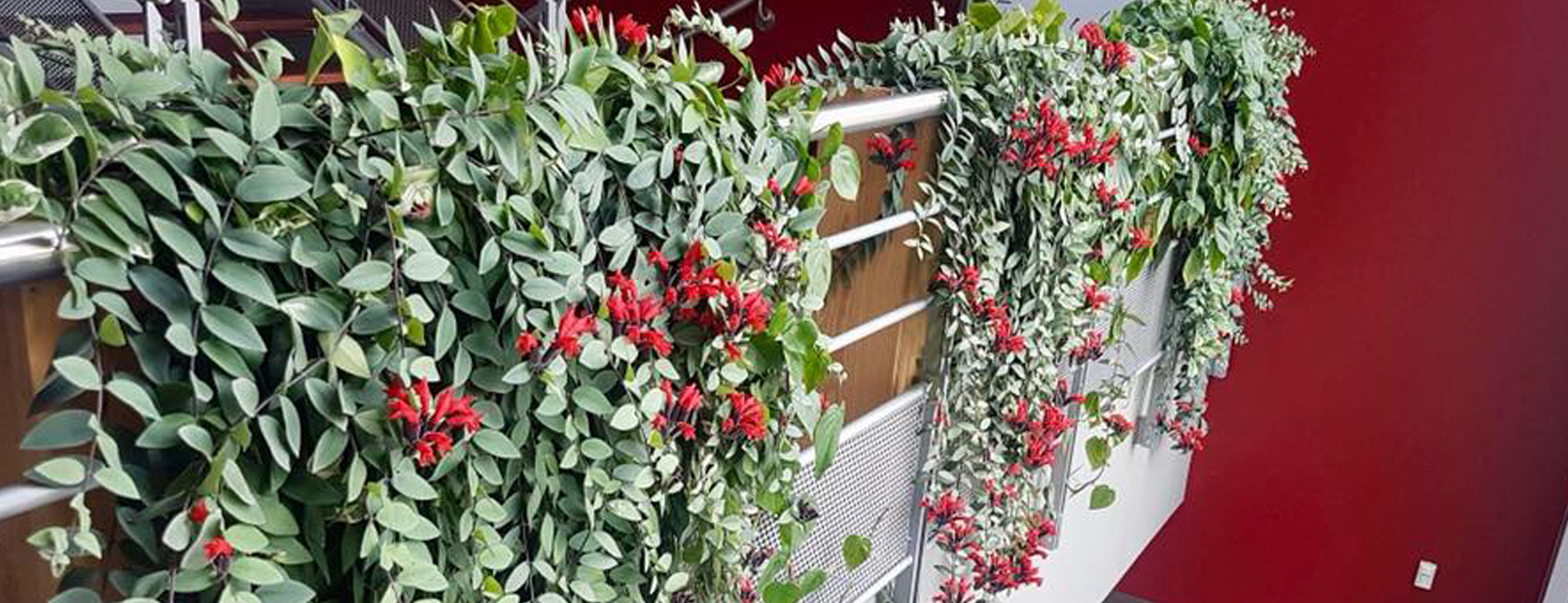 Plantes dépolluantes qui purifient l air intérieur de vos bureaux
