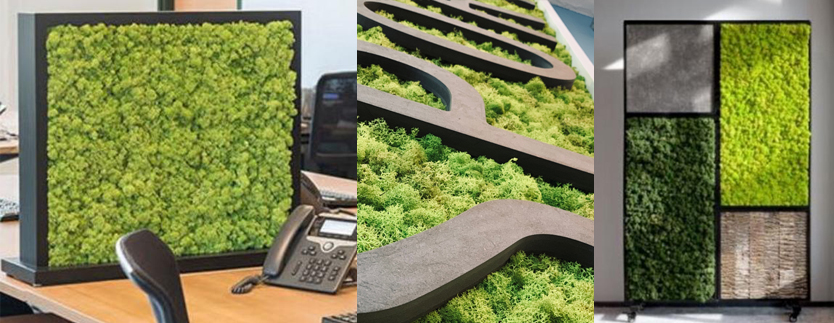 Distanciation en entreprise quelles solutions Parois végétales en mousse naturelle !