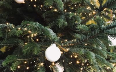 Livraison de sapins de Noël décorés pour votre société