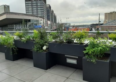 Aménagement plantes terrasse Lille