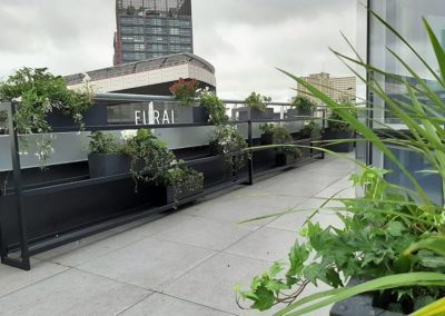 Aménagement terrasse plantes Euralille