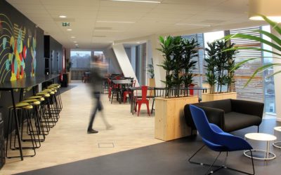 Location de plante pour vos espaces communs et bureaux sur Lille et sa métropole