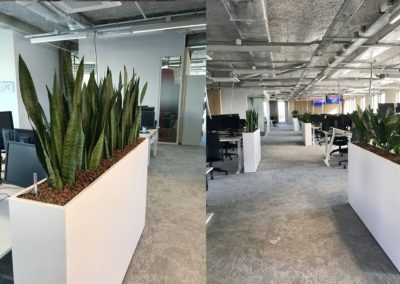 Location plantes espace travail Lille