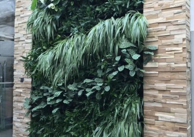Mur végétal phonique sur-mesure