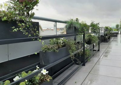Terrasse extérieure avec plantes et jardinières