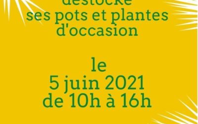 Déstockage plantes et pots d’occasion