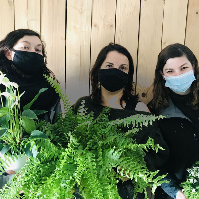 Contactez notre équipe nature végétale