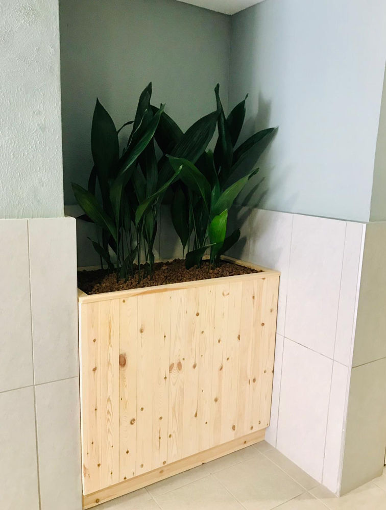 plante et pot sur-mesure pour vos bureaux